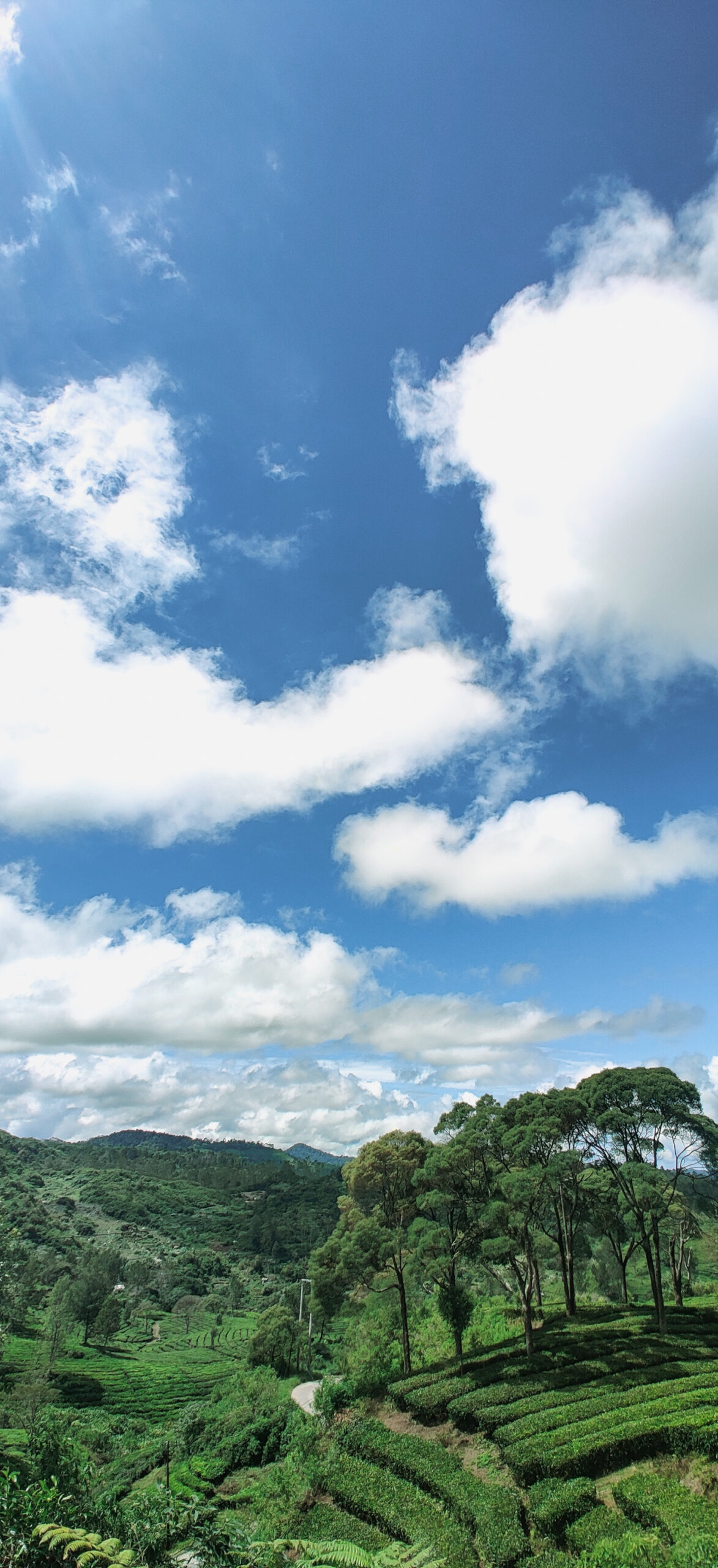 IMG_20240208_103259 IMG_20240208_103259