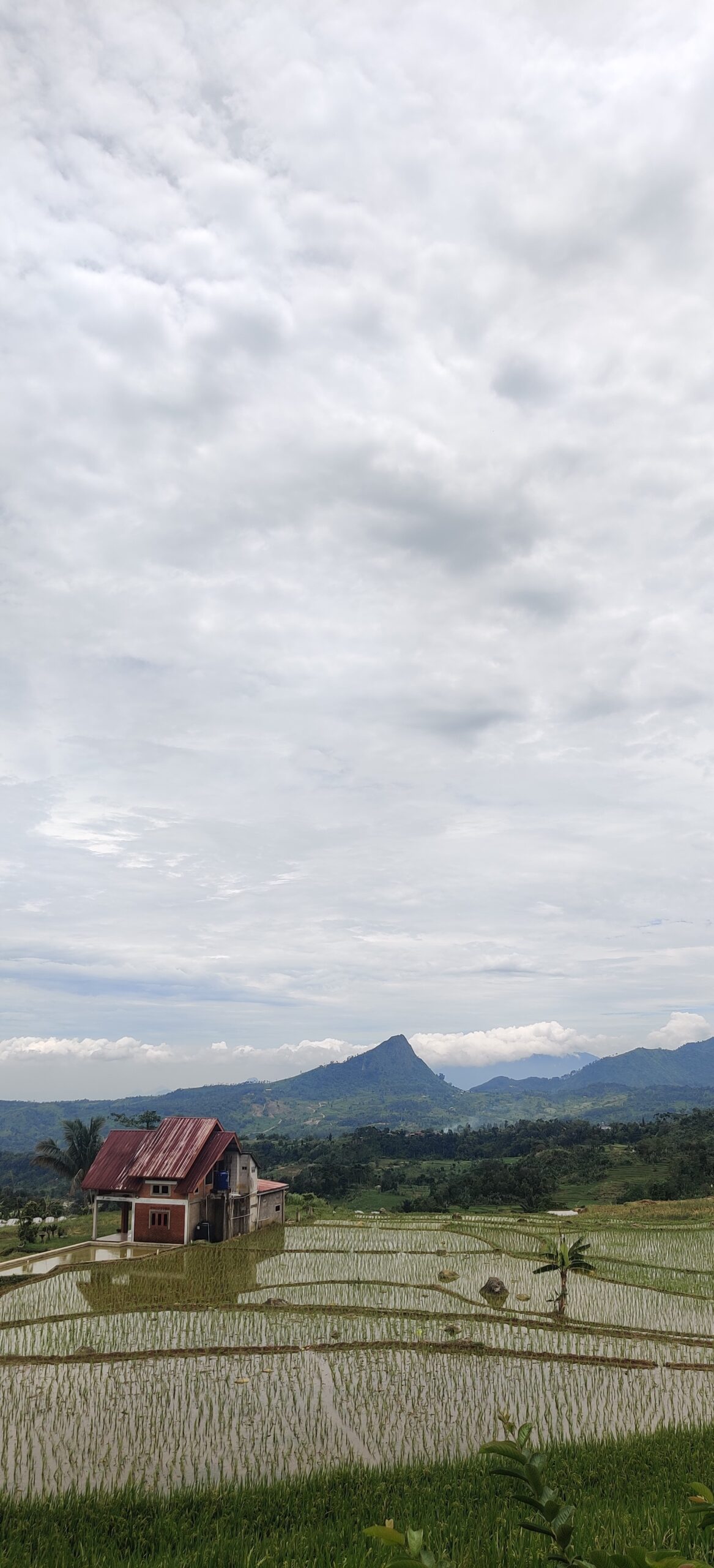 IMG_20250222_114159 IMG_20250222_114159