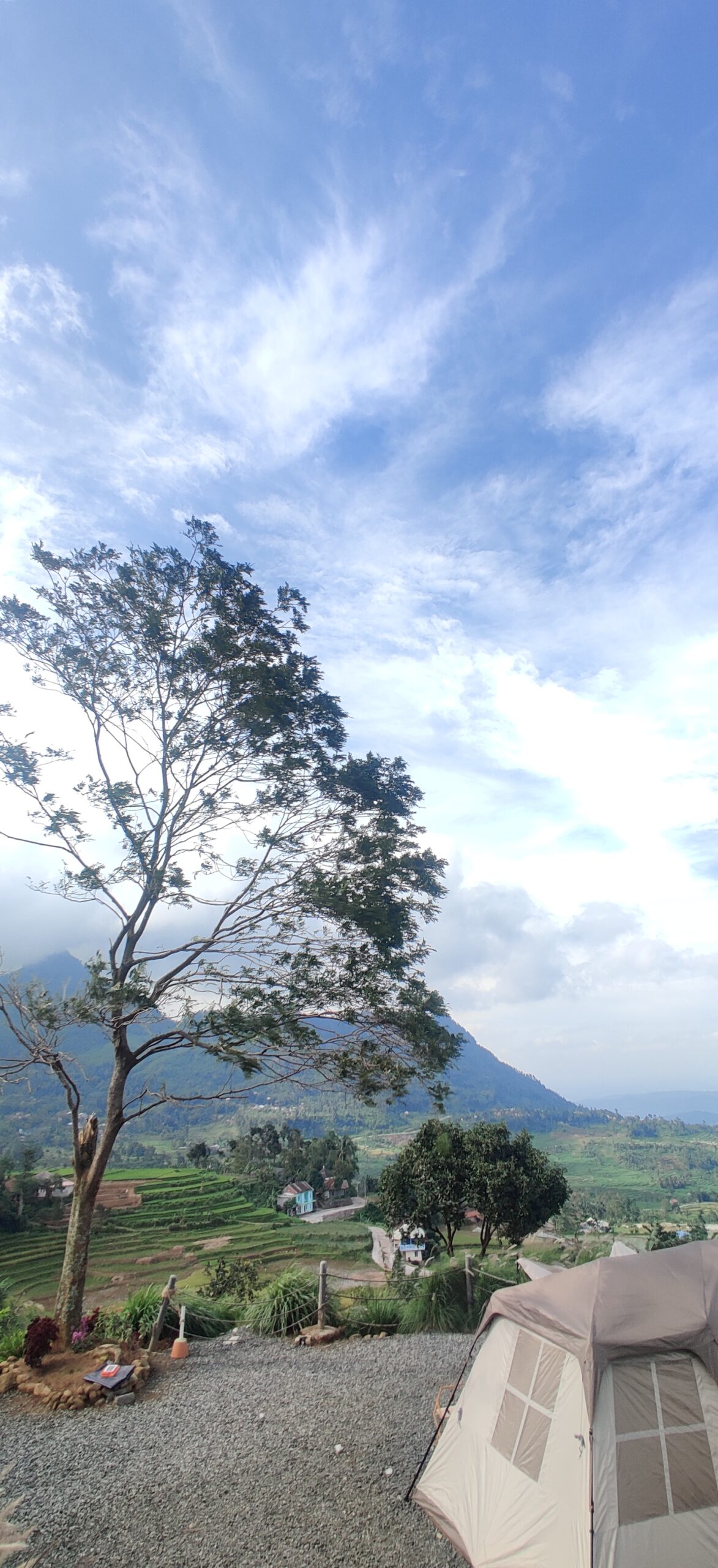 IMG_20250222_153215 IMG_20250222_153215