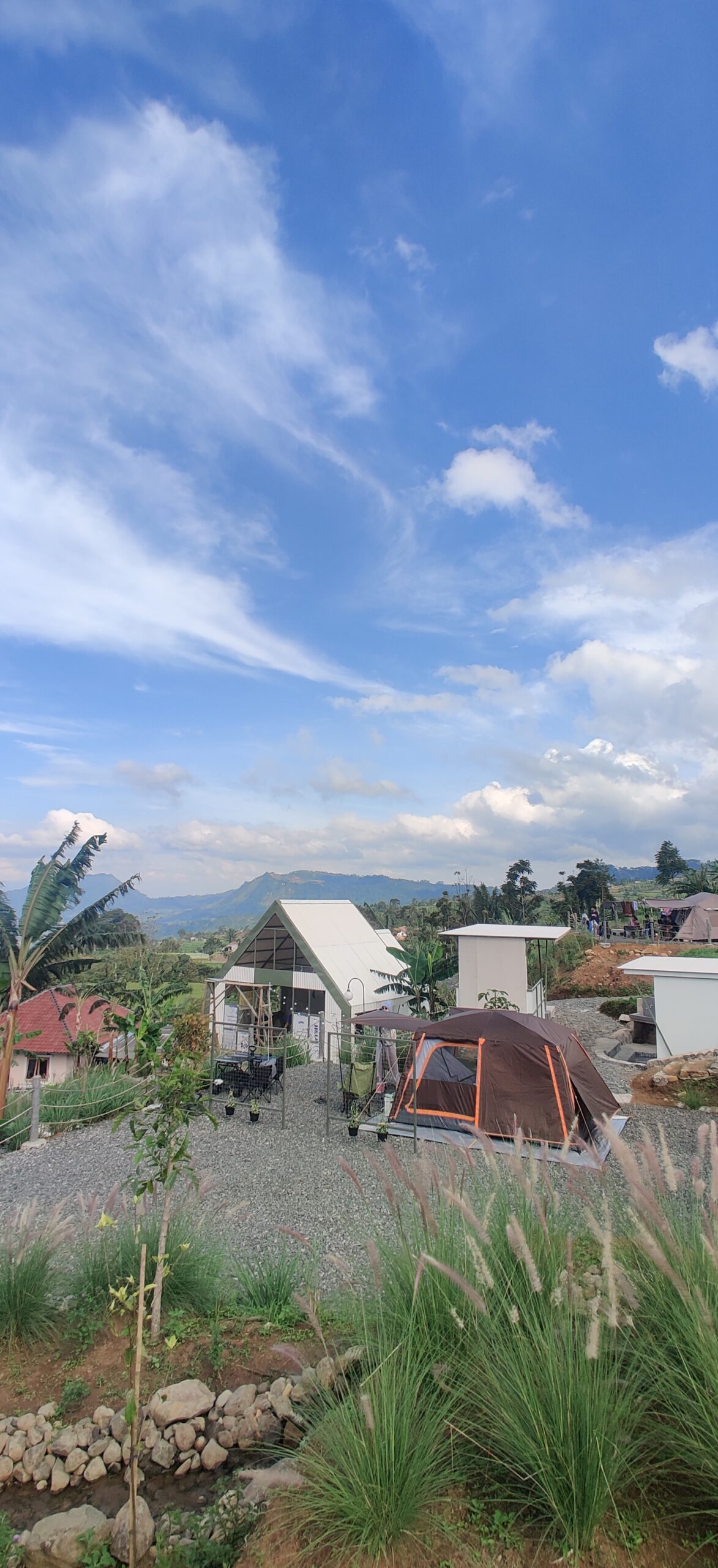 IMG_20250222_153229 IMG_20250222_153229