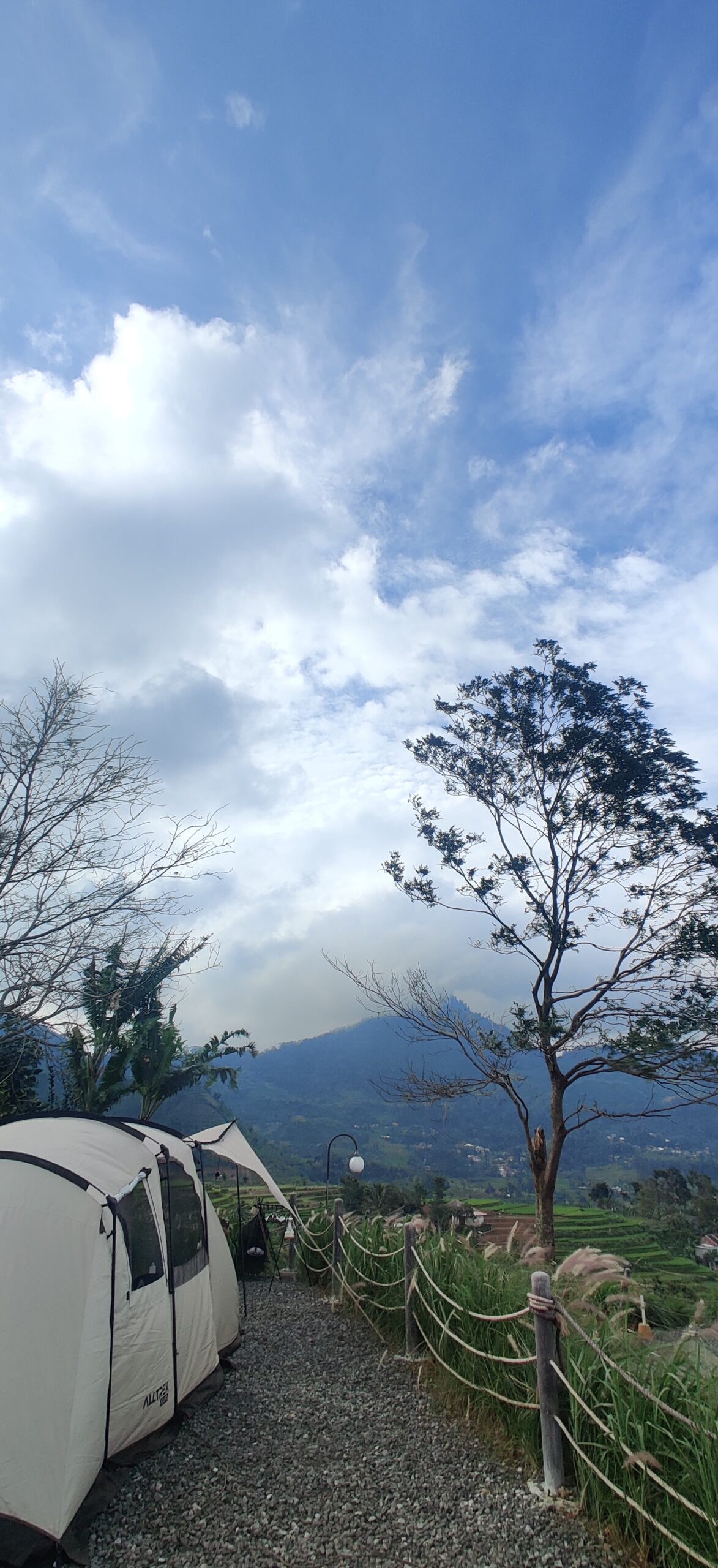 IMG_20250222_153928 IMG_20250222_153928