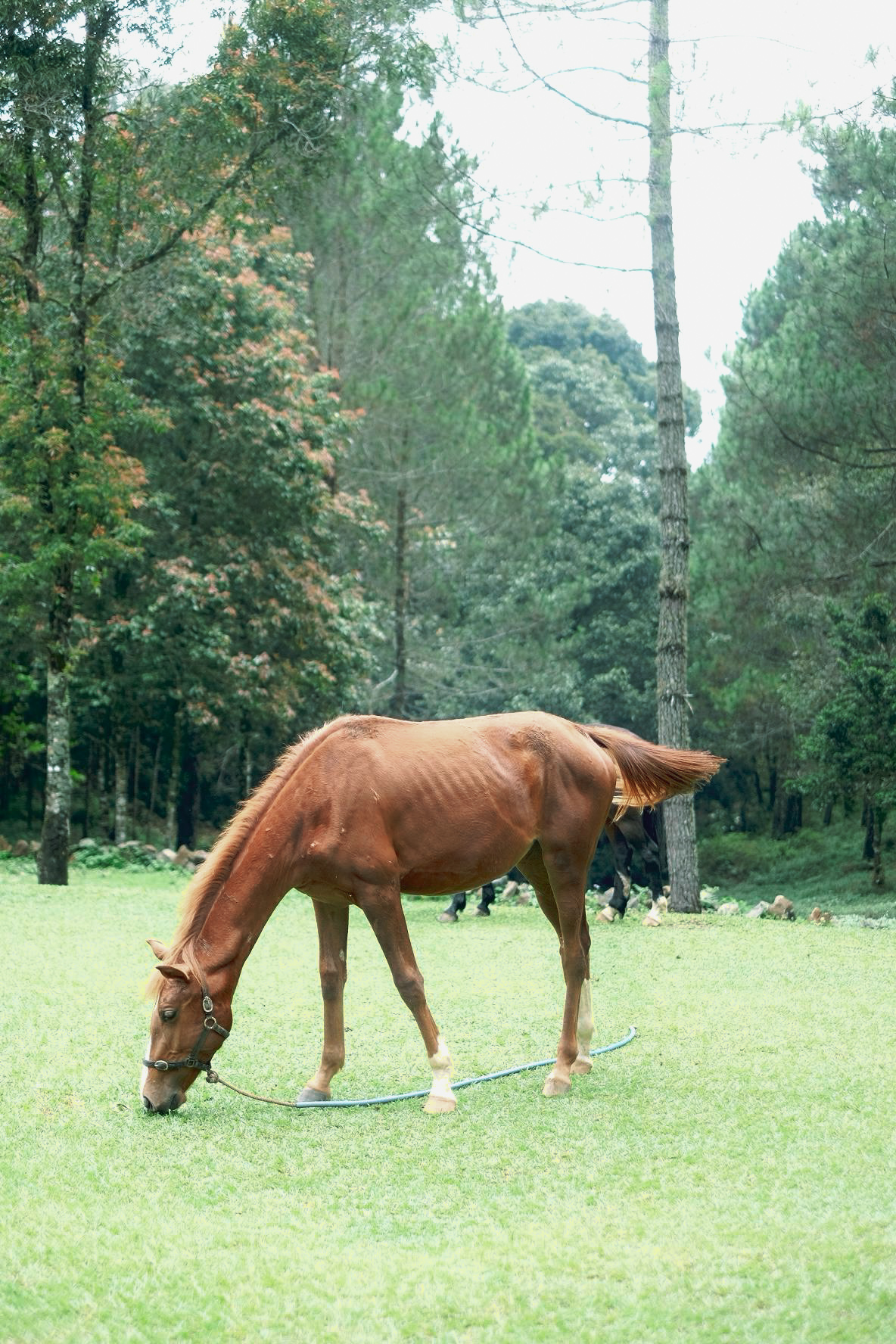 WhatsApp Image 2025-04-09 at 12.40.55_476dfcbf (1) WhatsApp Image 2025-04-09 at 12.40.55_476dfcbf (1)