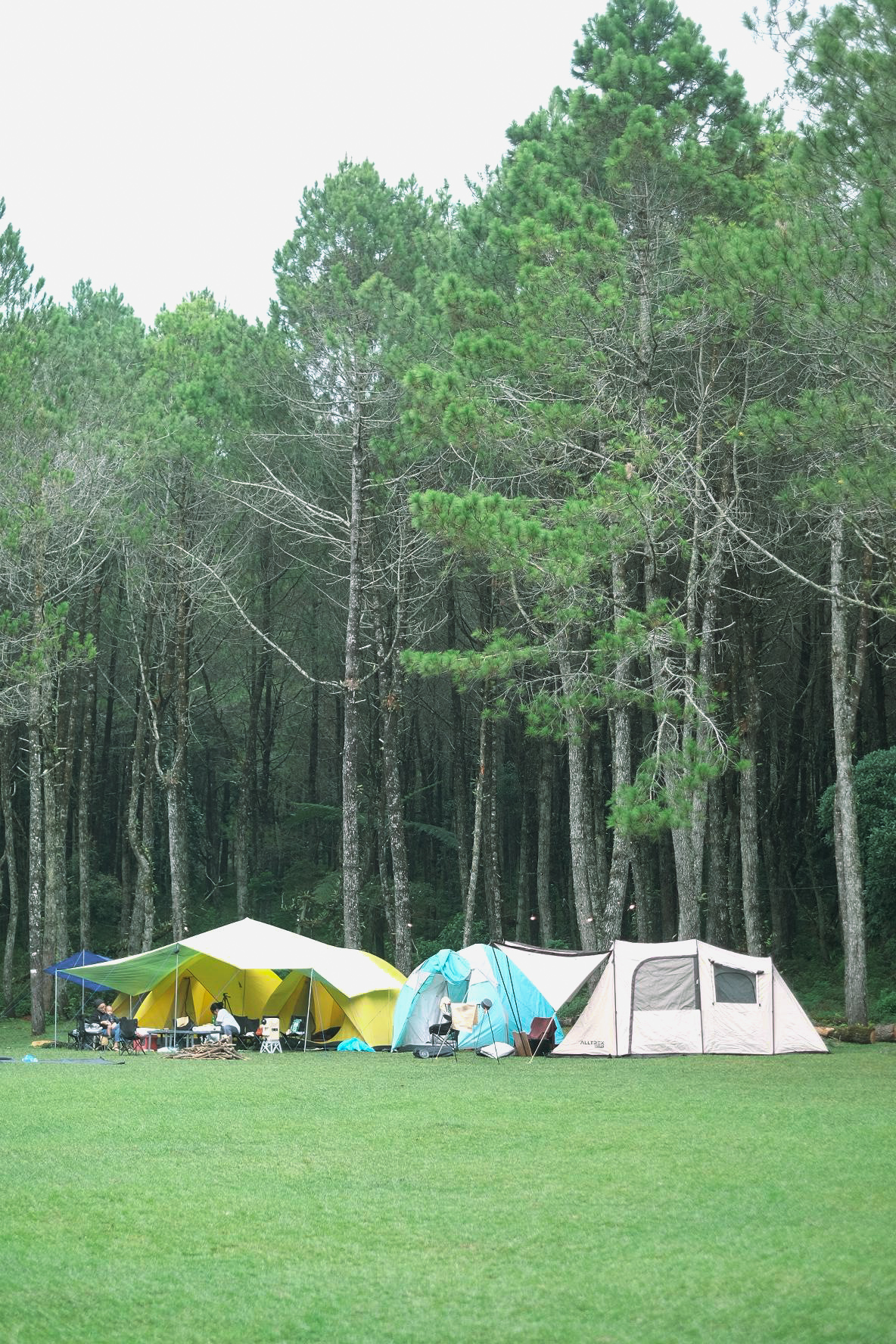 WhatsApp Image 2025-04-09 at 12.40.55_796a534b (1) WhatsApp Image 2025-04-09 at 12.40.55_796a534b (1)