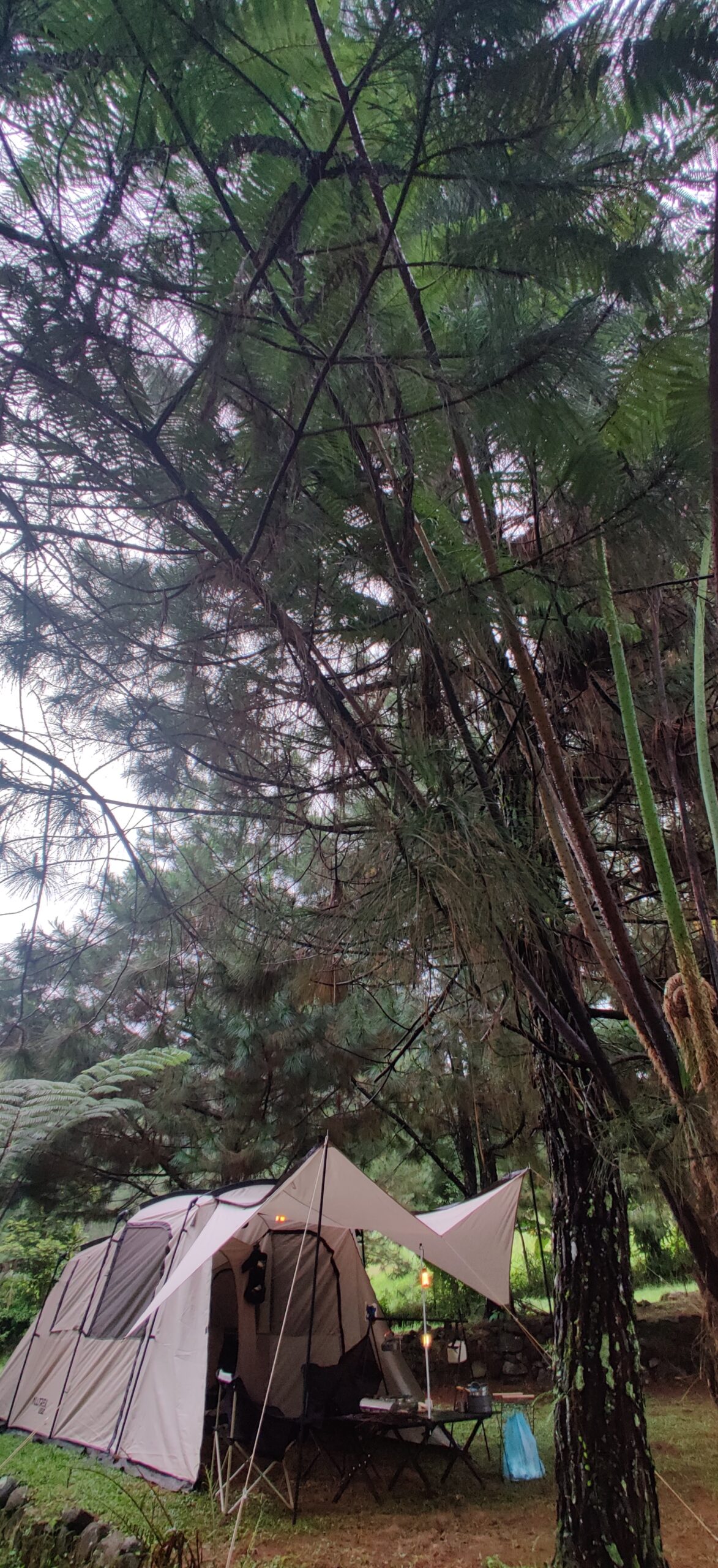 IMG_20240303_063055 IMG_20240303_063055