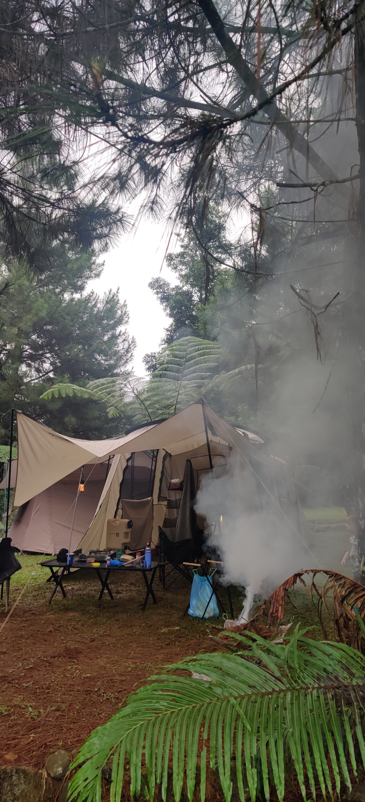 IMG_20240303_080050 IMG_20240303_080050