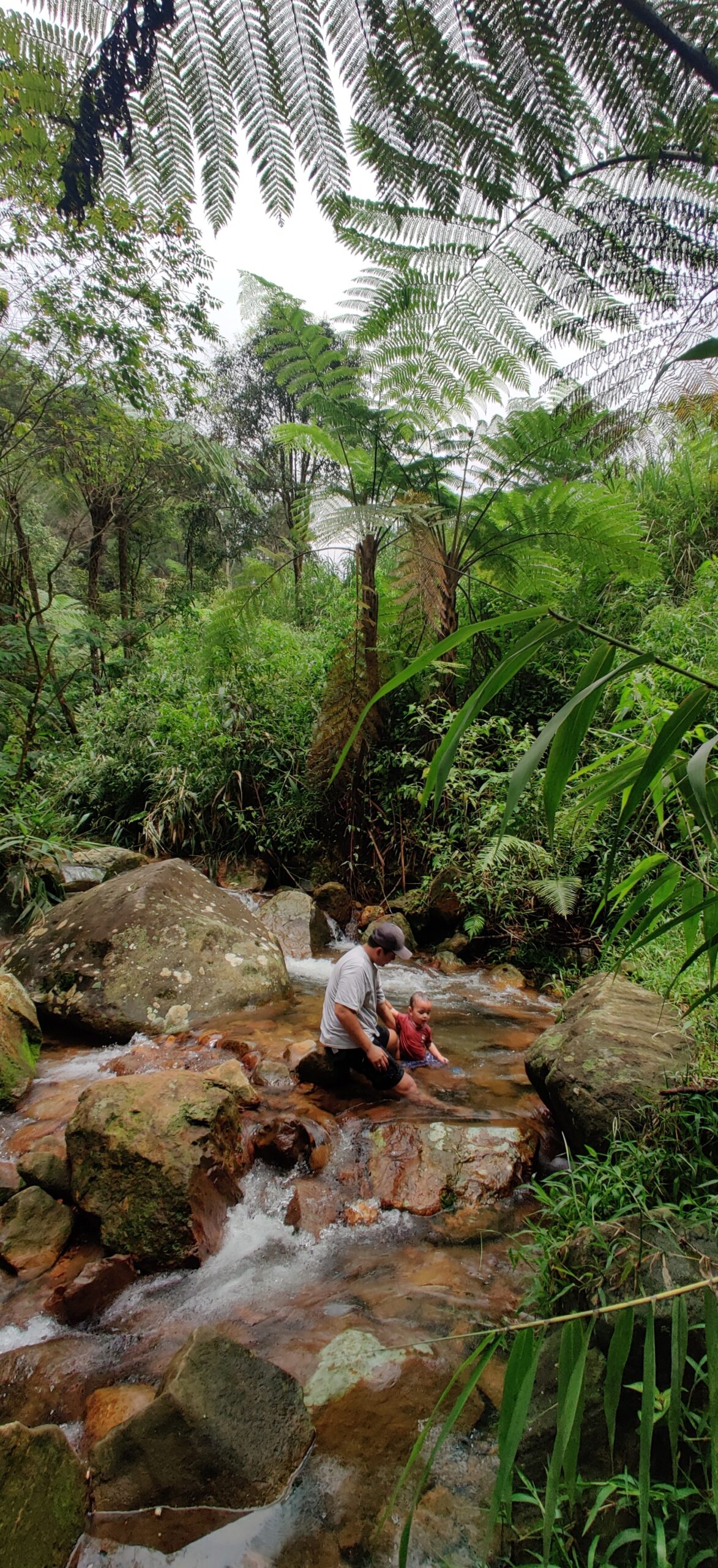 IMG_20240303_130213 IMG_20240303_130213