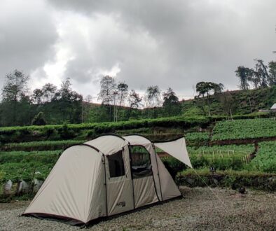 IMG_20240413_121049 (1)