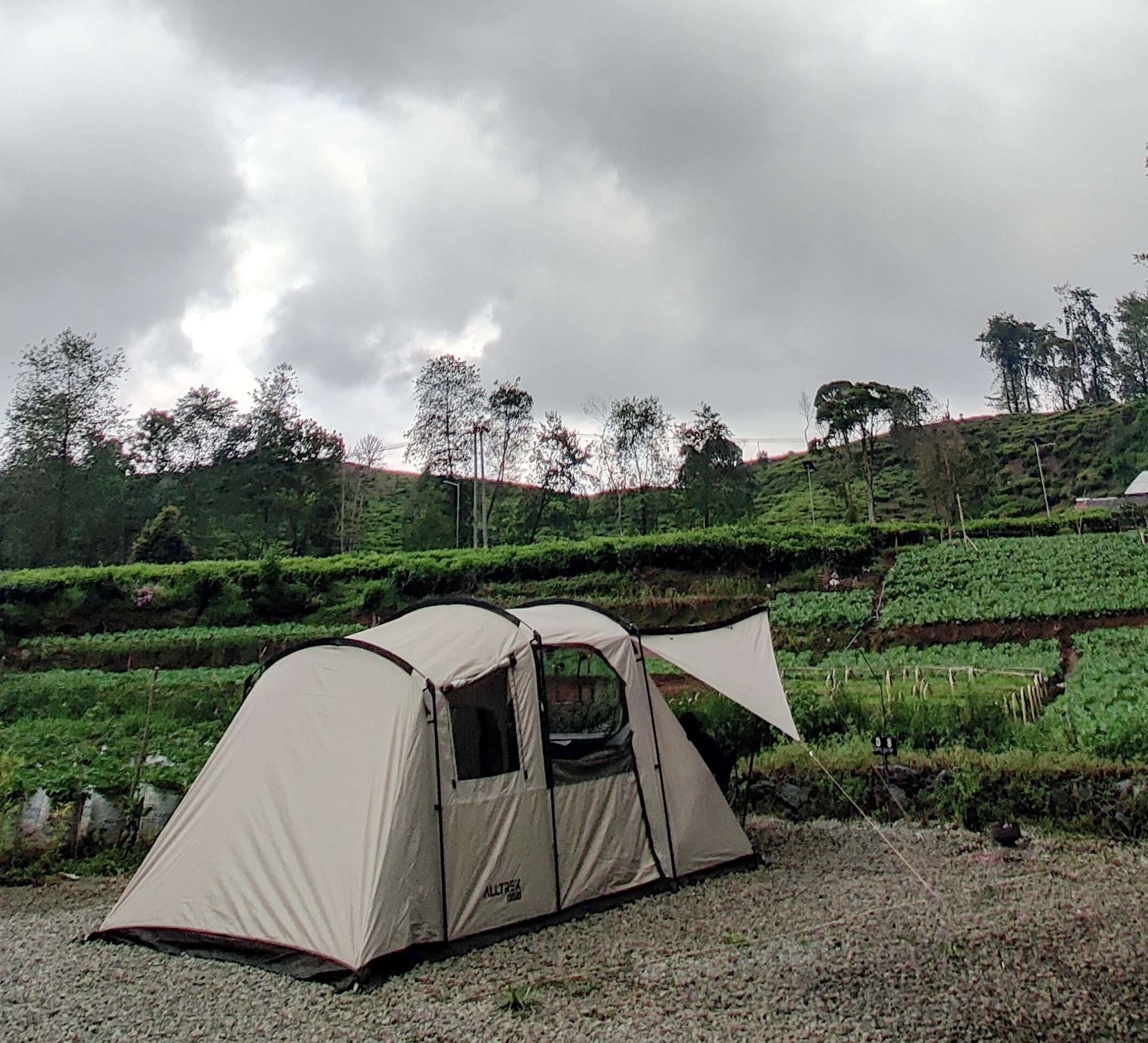 IMG_20240413_121049 (1)