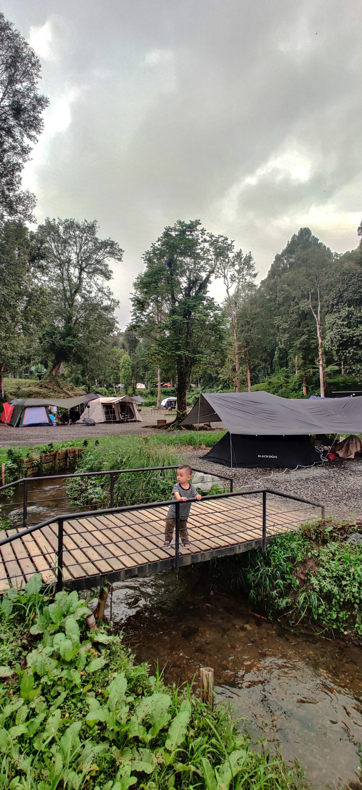 IMG_20240413_161625 IMG_20240413_161625